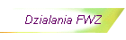 Dzialania FWZ