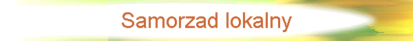 Samorzad lokalny